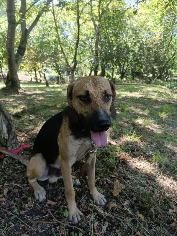 Enea Foto 9